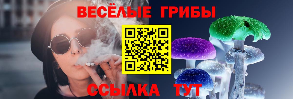 Псилоцибиновые грибы Psilocybine cubensis  Вход с VPN  Волжский 